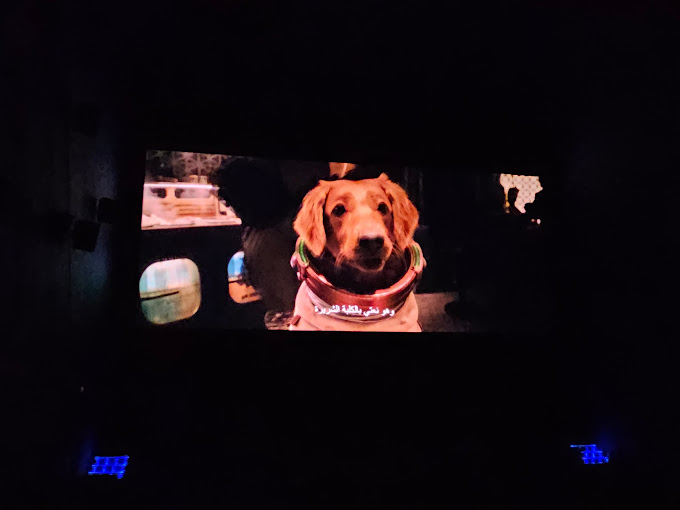 Dana Cinema