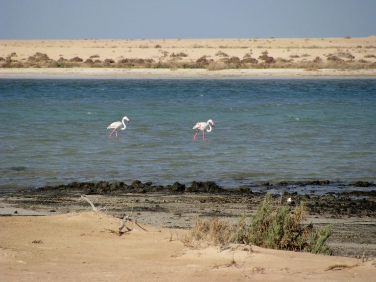 Hawar Islands, Bahrain