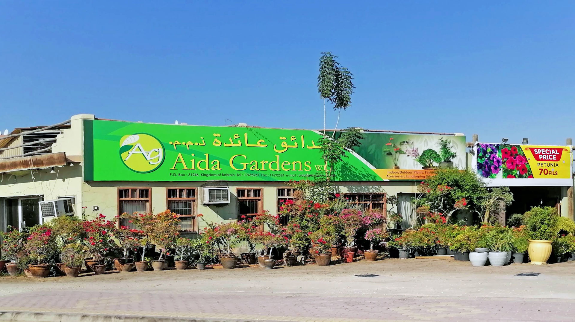 Aida Gardens