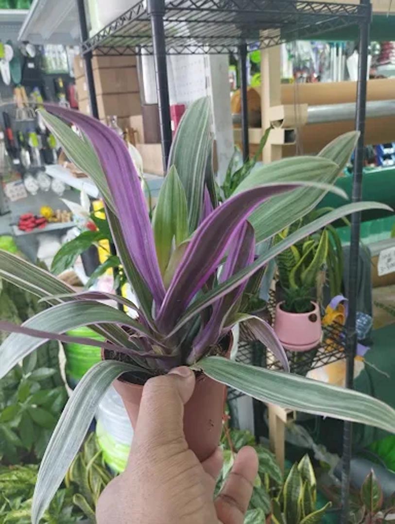 Galali branch &ndash; Al Khair Agricultural Centre