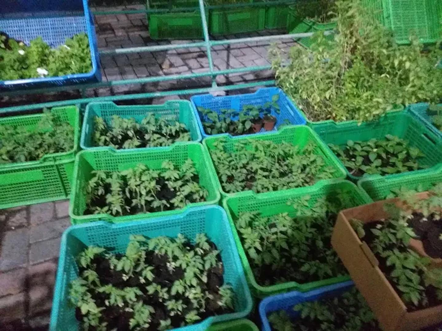 Galali branch &ndash; Al Khair Agricultural Centre