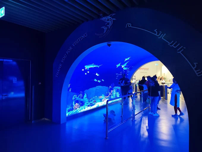 Marassi Aquarium & Underwater Zoo