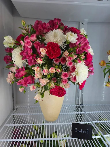 Medusa Flowers, Galali, Bahrain