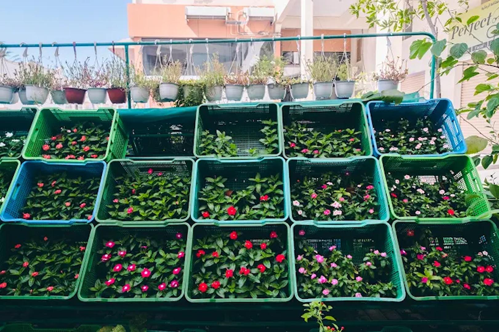 Galali branch &ndash; Al Khair Agricultural Centre