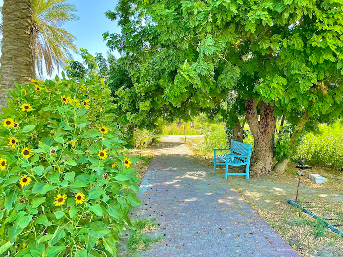 Jasra Organic Farm