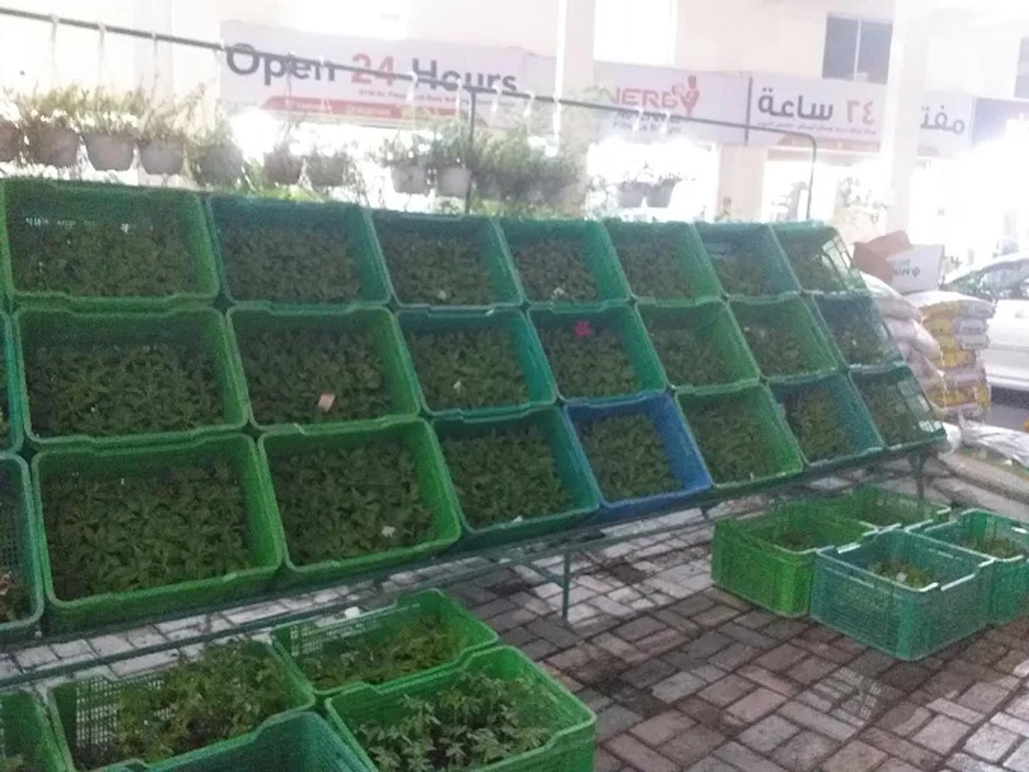 Galali branch &ndash; Al Khair Agricultural Centre