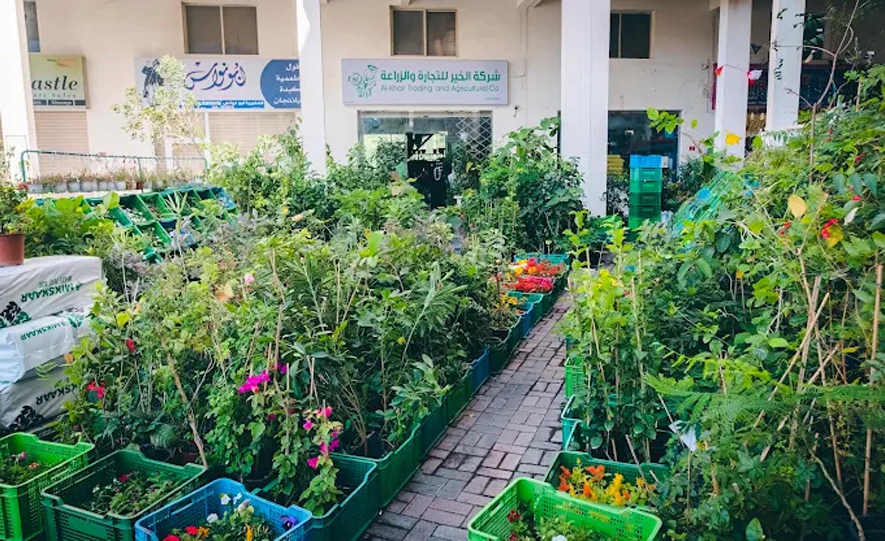Galali branch &ndash; Al Khair Agricultural Centre